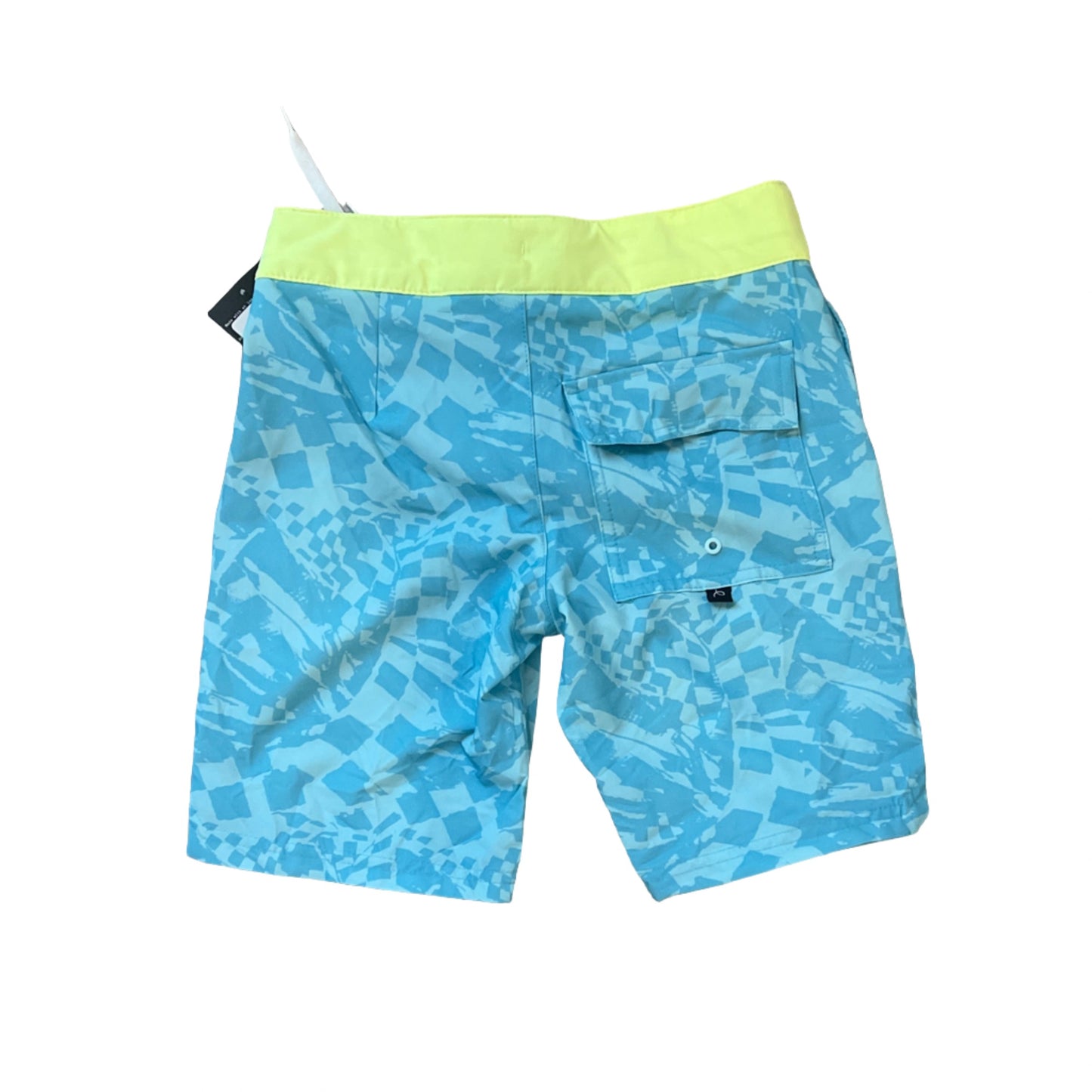 Boys' Checkered Swim - art class Blue