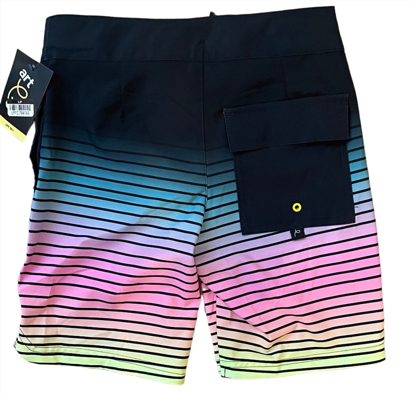 Boys' Ombre Striped Swim - art class