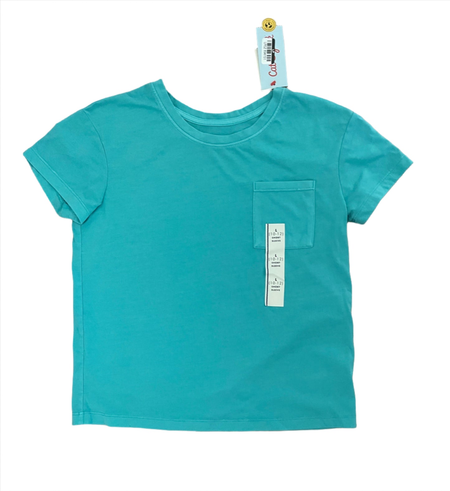 Girls' Short Sleeve Pocket T-Shirt - Cat & Jack Turquoise Green