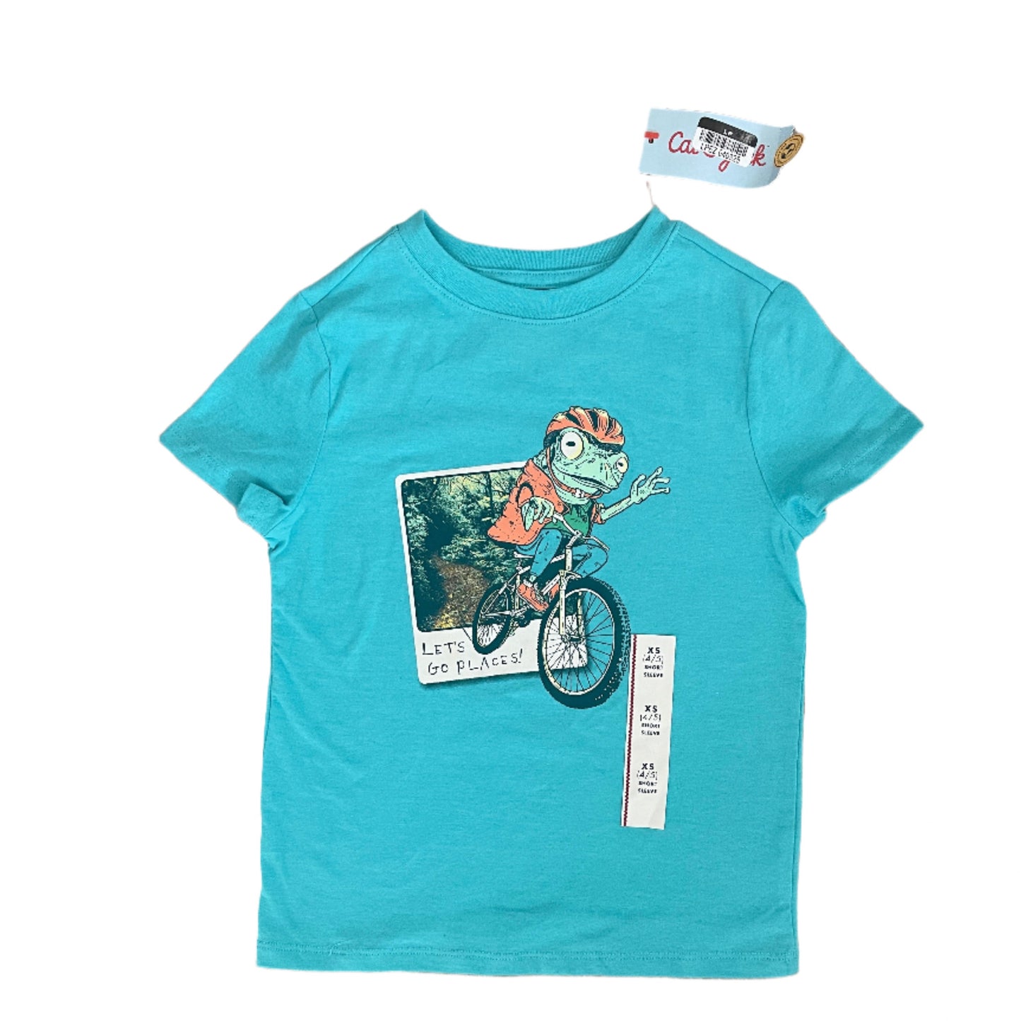 Boys' Short Sleeve Biking Frog Graphic T-Shirt - Cat & Jack Aqua Blue