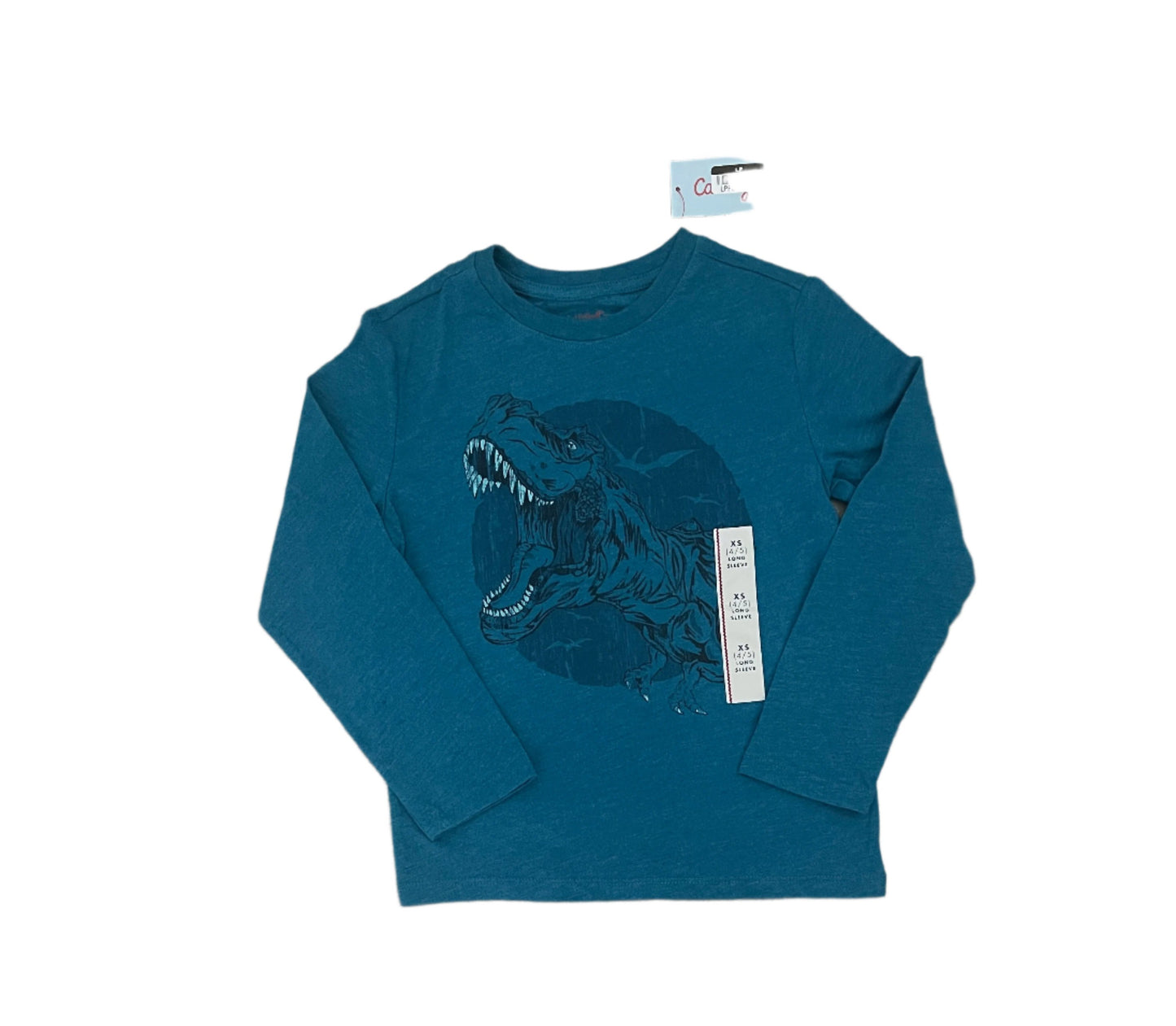 Boys' Long Sleeve Dino Graphic T-Shirt - Cat & Jack Teal Blue